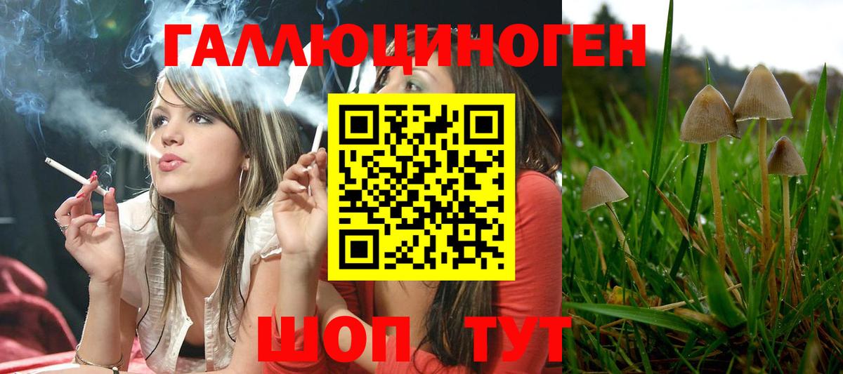 Тавда  Галлюциногенные грибы мухоморы  Вход с VPN  Псилоцибиновые грибы Psilocybe 