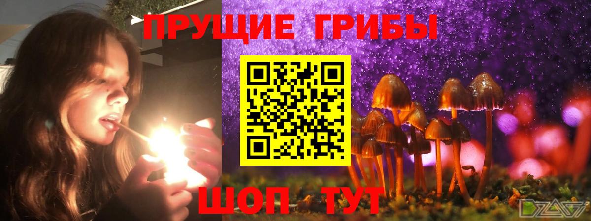 Галлюциногенные грибы Magic Shrooms Тавда